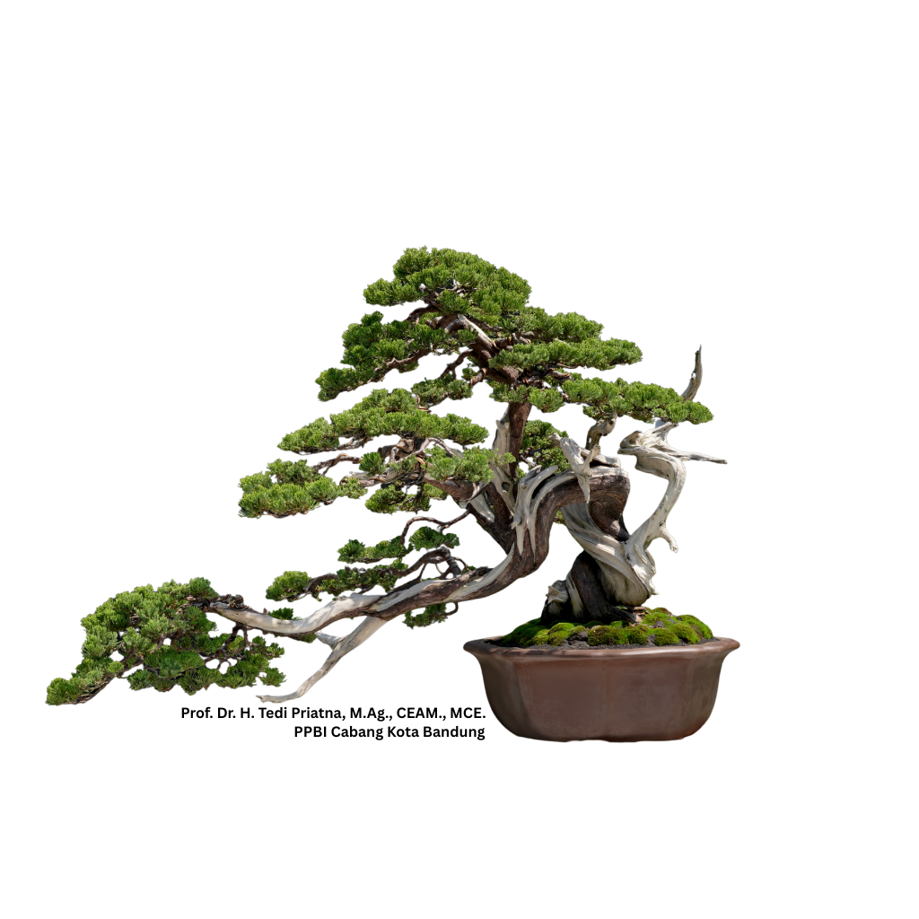Header Bonsai